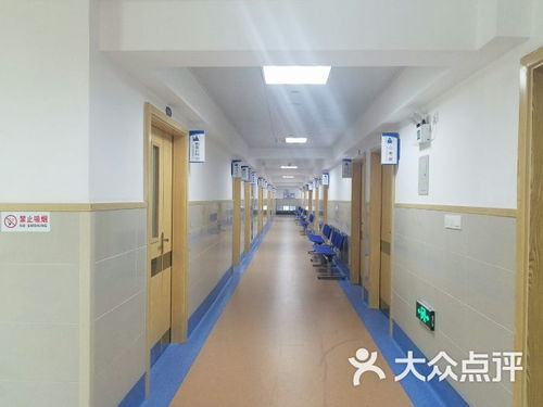 普陀医院 门诊部地址 普陀医院 门诊部电话 360地图