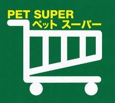 猫寄宿 – pet hong kong